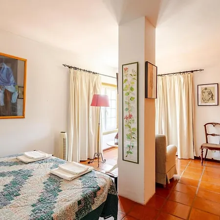 Douro Valley-casa Do Vimieiro