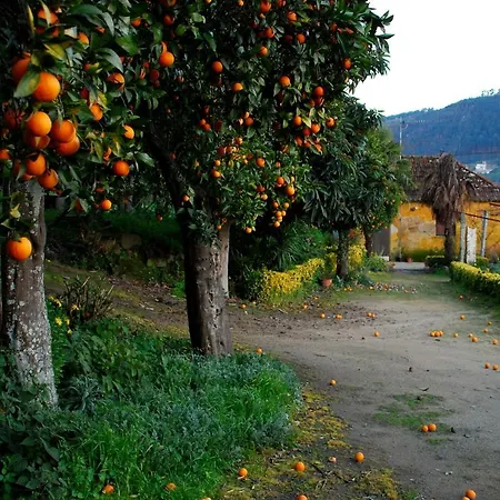 Douro Valley-casa Do Vimieiro Sande (Porto)