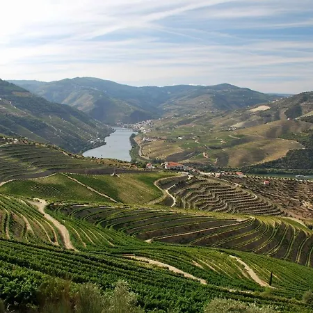 Villa Douro Valley-casa Do Vimieiro *