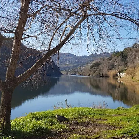 Villa Douro Valley-casa Do Vimieiro