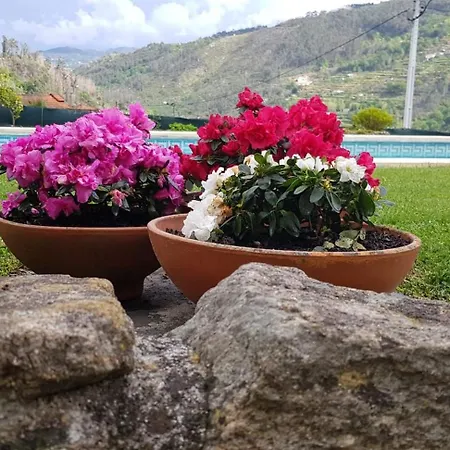 Douro Valley-casa Do Vimieiro Villa