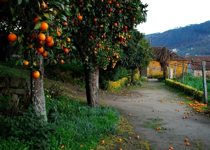 Douro Valley-casa Do Vimieiro Sande (Porto)