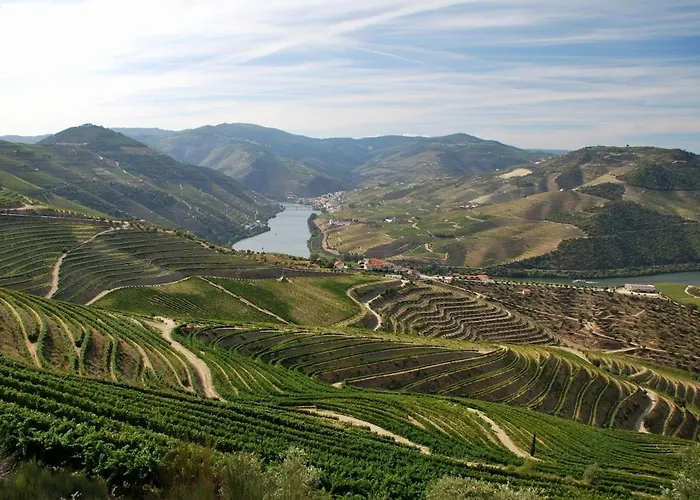 Vila Douro Valley-casa Do Vimieiro *