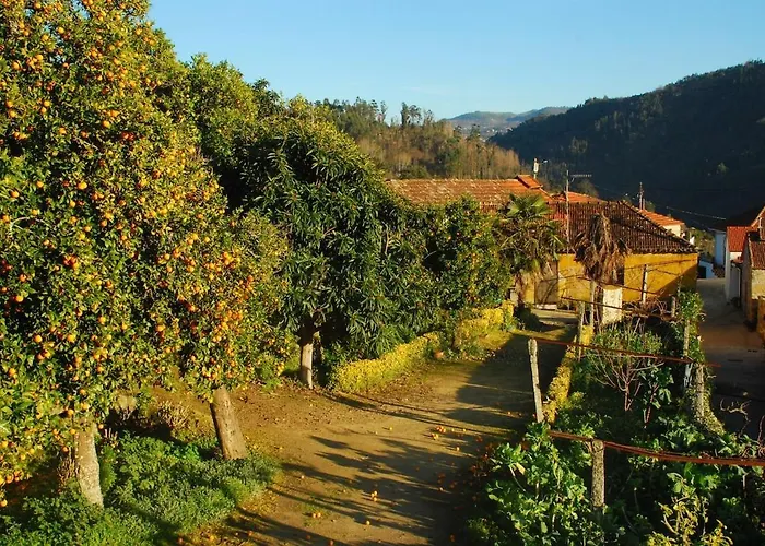Douro Valley-casa Do Vimieiro Villa Sande (Porto)