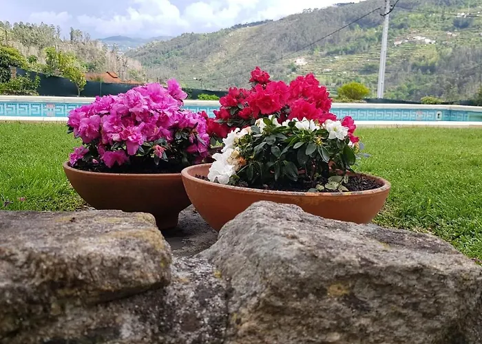 Douro Valley-casa Do Vimieiro Vila